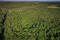 Lot 15 SCOUT TRAIL, Ojibwa, WI 54862