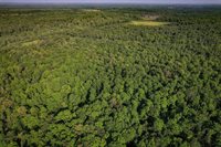 Lot 15 SCOUT TRAIL, Ojibwa, WI 54862