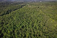 Lot 15 SCOUT TRAIL, Ojibwa, WI 54862