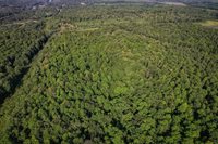 Lot 15 SCOUT TRAIL, Ojibwa, WI 54862