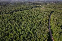 Lot 15 SCOUT TRAIL, Ojibwa, WI 54862