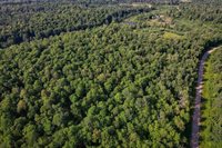 Lot 15 SCOUT TRAIL, Ojibwa, WI 54862