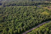 Lot 15 SCOUT TRAIL, Ojibwa, WI 54862