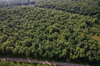 Lot 15 SCOUT TRAIL, Ojibwa, WI 54862