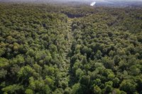 Lot 14 SCOUT TRAIL, Ojibwa, WI 54862