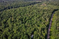 Lot 14 SCOUT TRAIL, Ojibwa, WI 54862