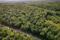 Lot 14 SCOUT TRAIL, Ojibwa, WI 54862