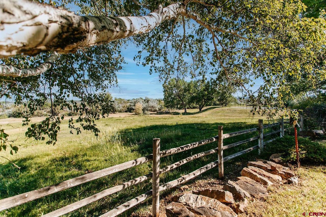 60428 Oasis Road, Montrose, CO 81403