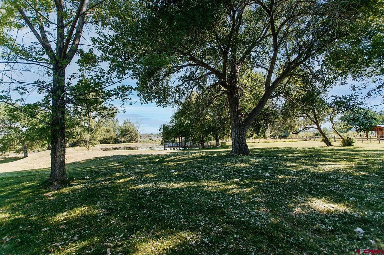 60428 Oasis Road, Montrose, CO 81403