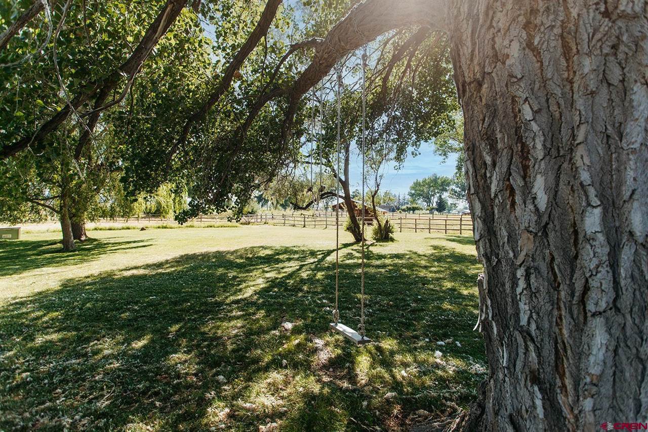 60428 Oasis Road, Montrose, CO 81403