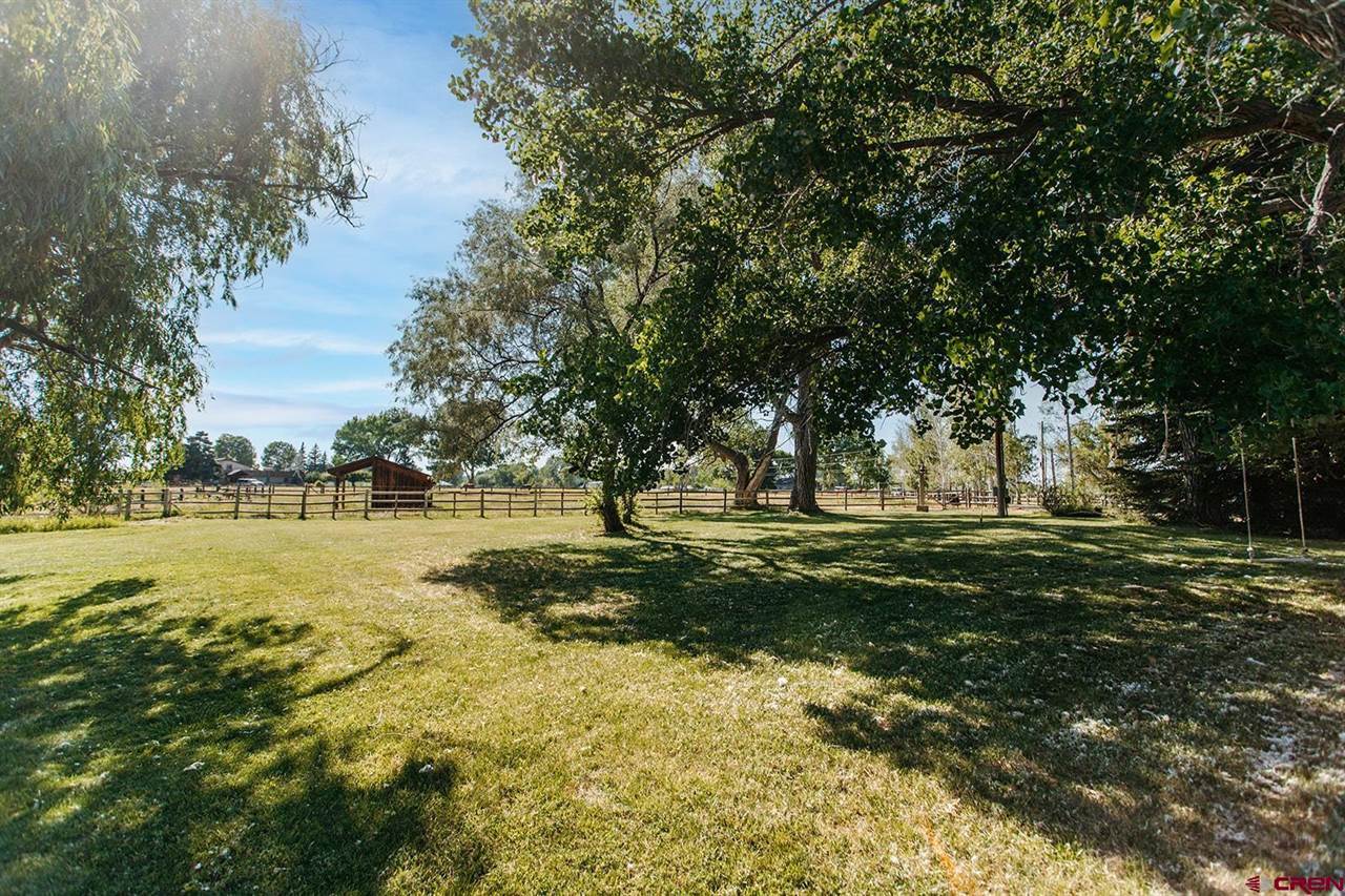 60428 Oasis Road, Montrose, CO 81403