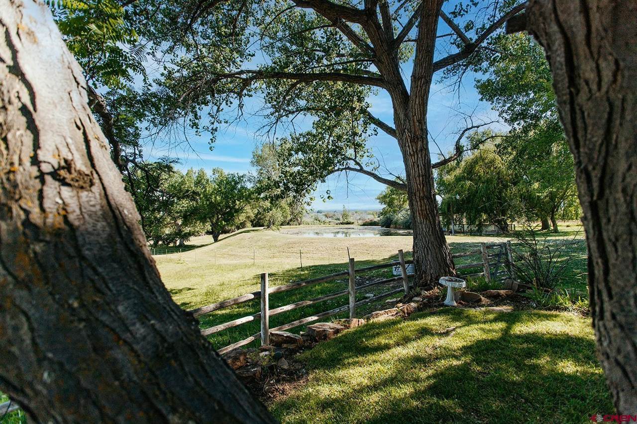 60428 Oasis Road, Montrose, CO 81403