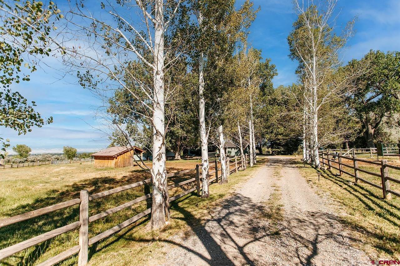 60428 Oasis Road, Montrose, CO 81403