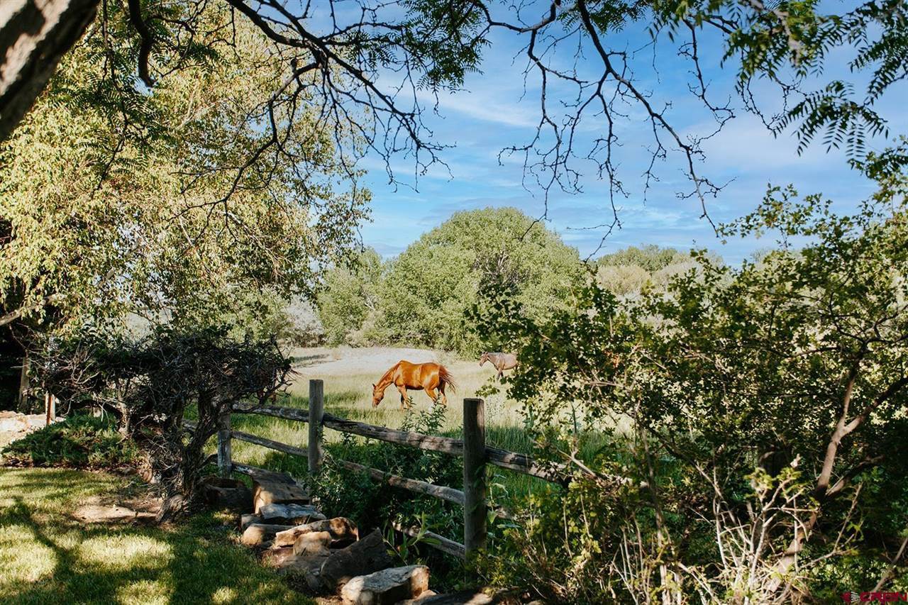 60428 Oasis Road, Montrose, CO 81403