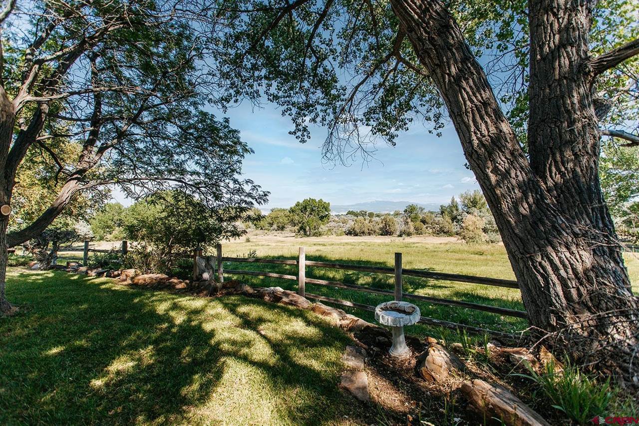 60428 Oasis Road, Montrose, CO 81403