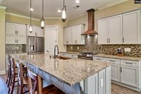 206 Green Wing, Gilbert, SC 29054