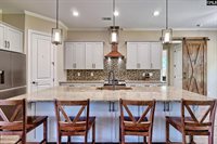 206 Green Wing, Gilbert, SC 29054