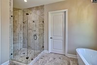 206 Green Wing, Gilbert, SC 29054