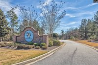 206 Green Wing, Gilbert, SC 29054