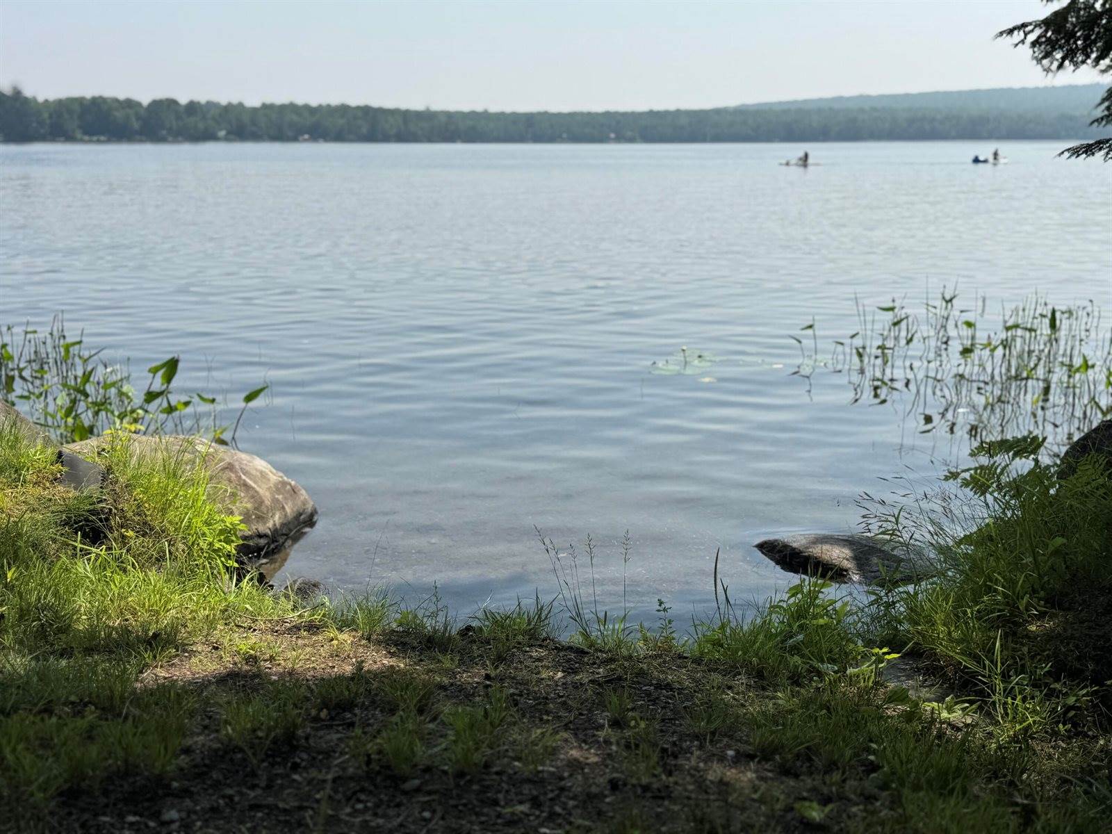 12 Beech Ridge Drive, Abbot, ME 04406