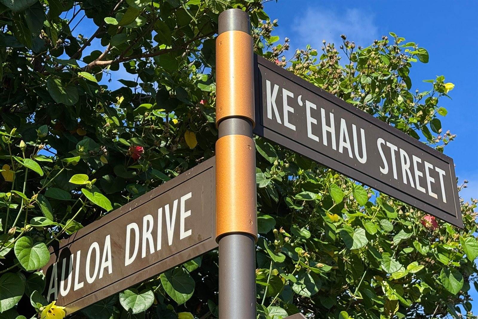 81-460 Keehau St, Kealakekua, HI 96750