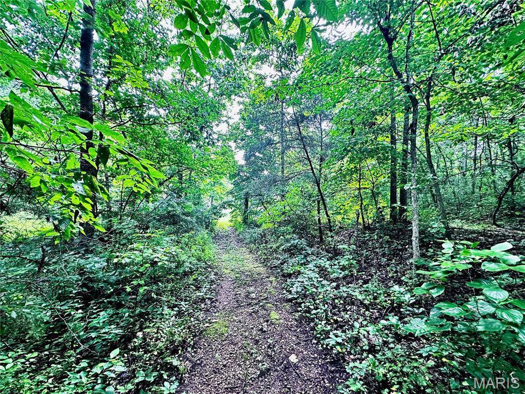 25201 Highway 7, Richland, MO 65556