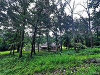 25201 Highway 7, Richland, MO 65556