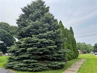 521 Garden Drive, Belvidere, IL 61008