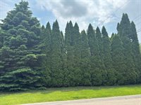 521 Garden Drive, Belvidere, IL 61008