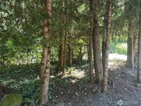 45263 Tillicum Trail, Concrete, WA 98237