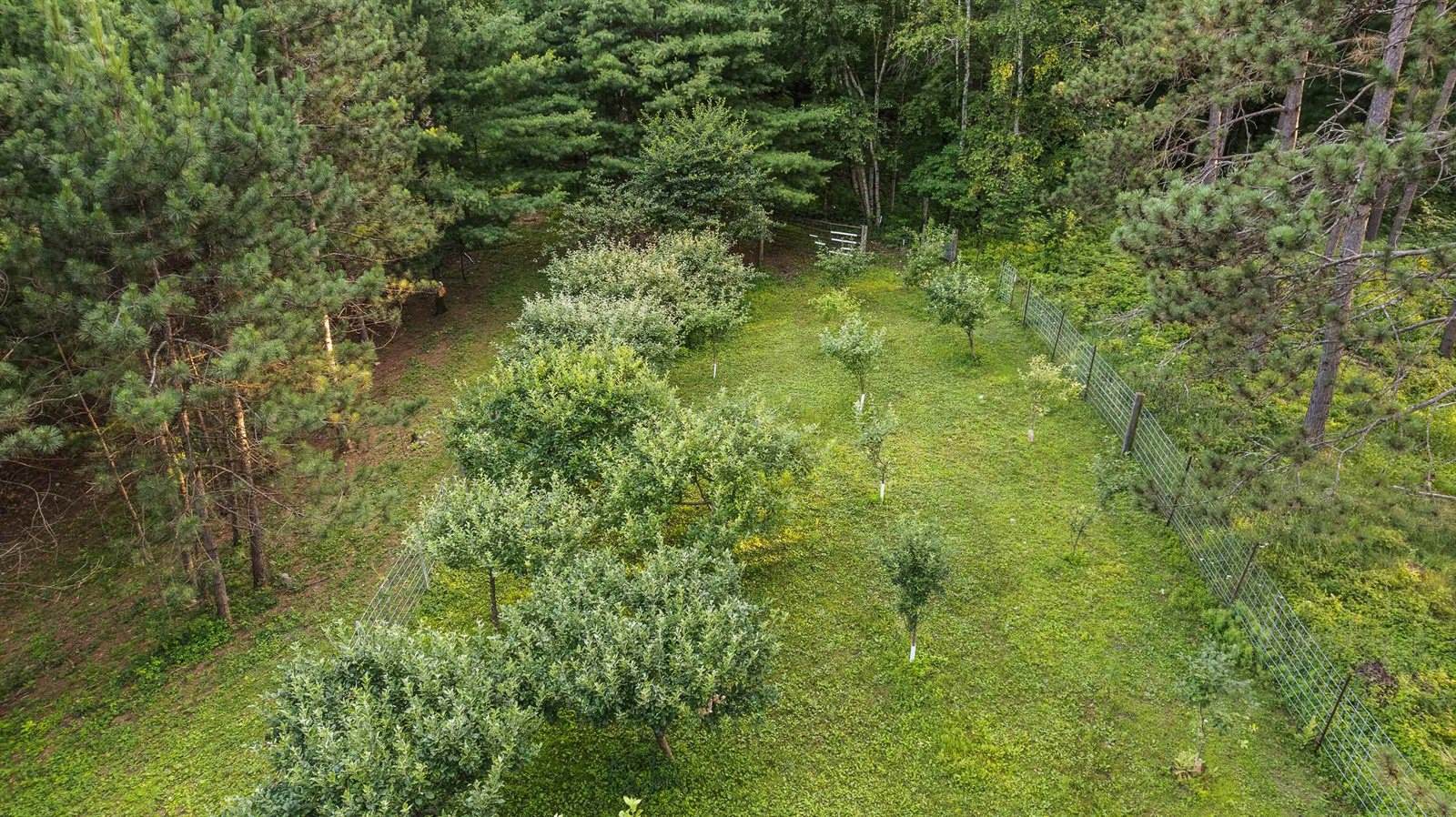 N11875 County Road P, Iola, WI 54945