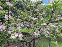 N11875 County Road P, Iola, WI 54945