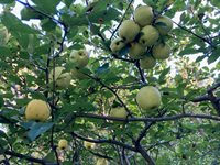 N11875 County Road P, Iola, WI 54945