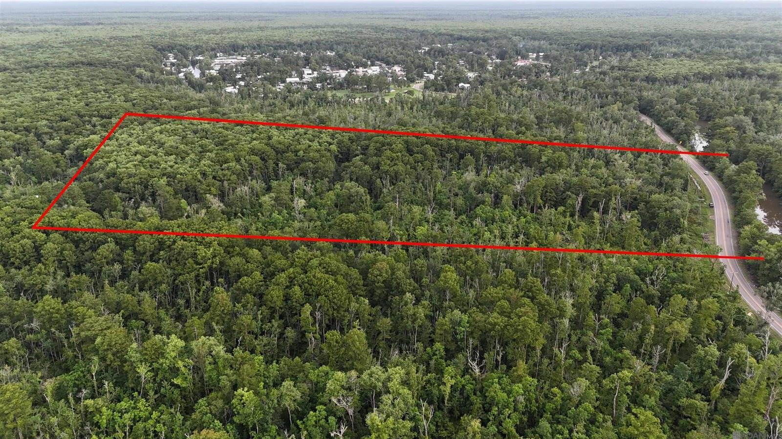 TBD Hwy 22, Maurepas, LA 70449