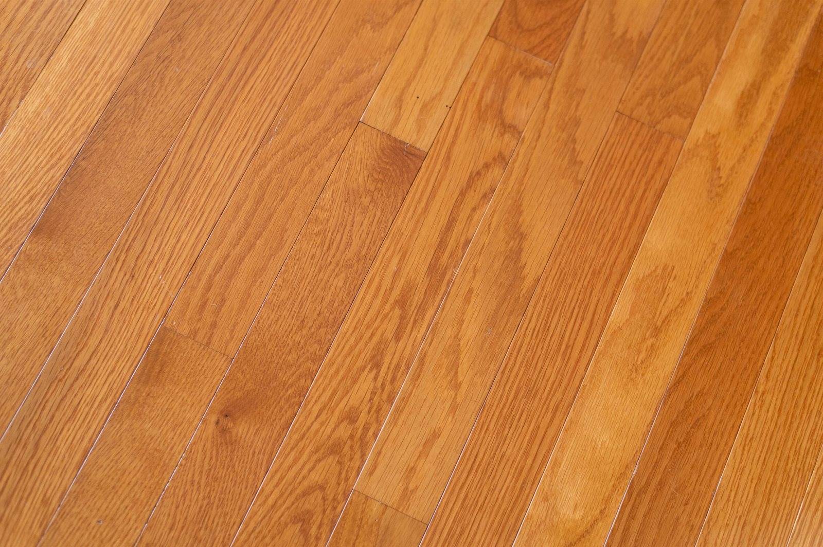 42 Littlefield Lane, Old Town, ME 04468