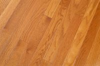 42 Littlefield Lane, Old Town, ME 04468