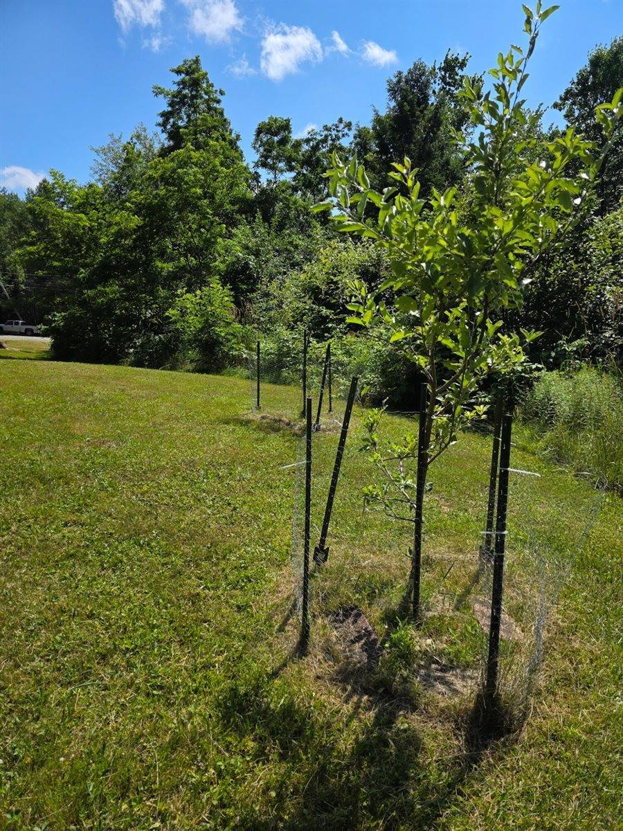 612 Main Road, Burlington, ME 04417