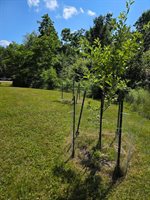 612 Main Road, Burlington, ME 04417