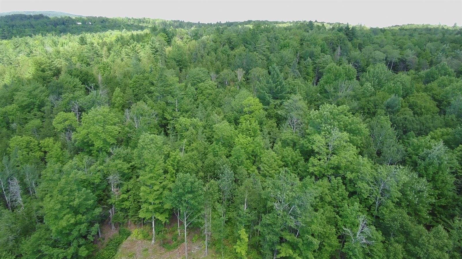 163 Blaine Avenue, Guilford, ME 04443