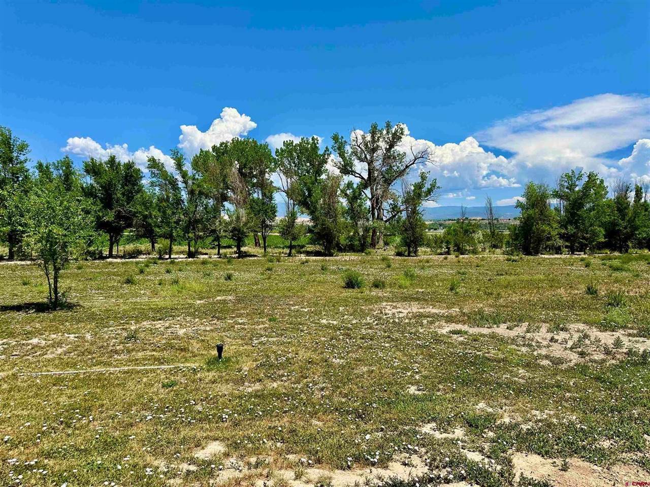 18755 H Road, Delta, CO 81416