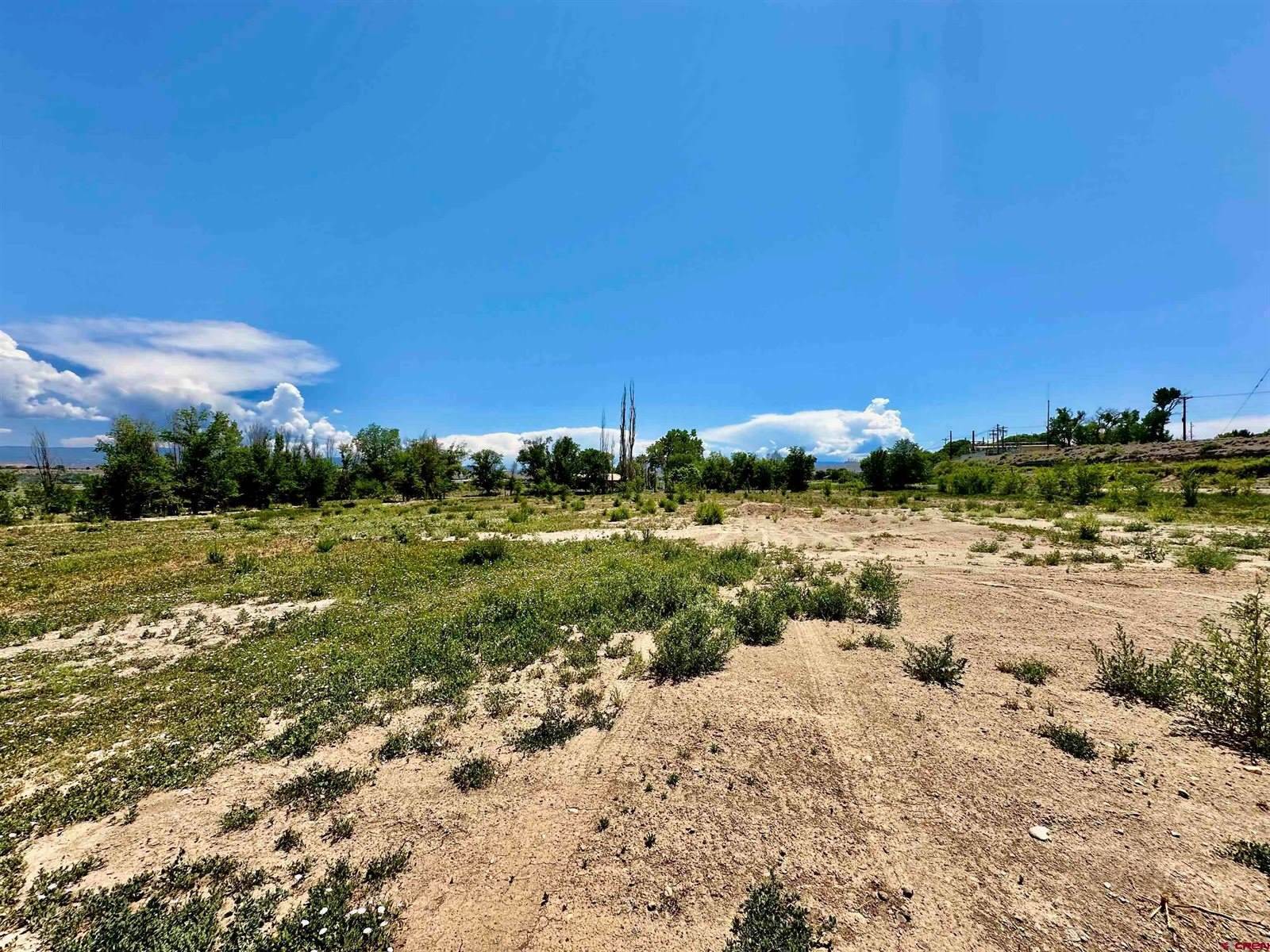 18755 H Road, Delta, CO 81416