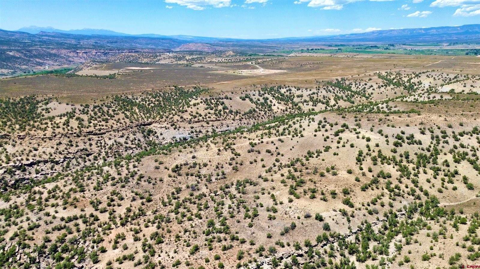 TBD DD Road, Naturita, CO 81422