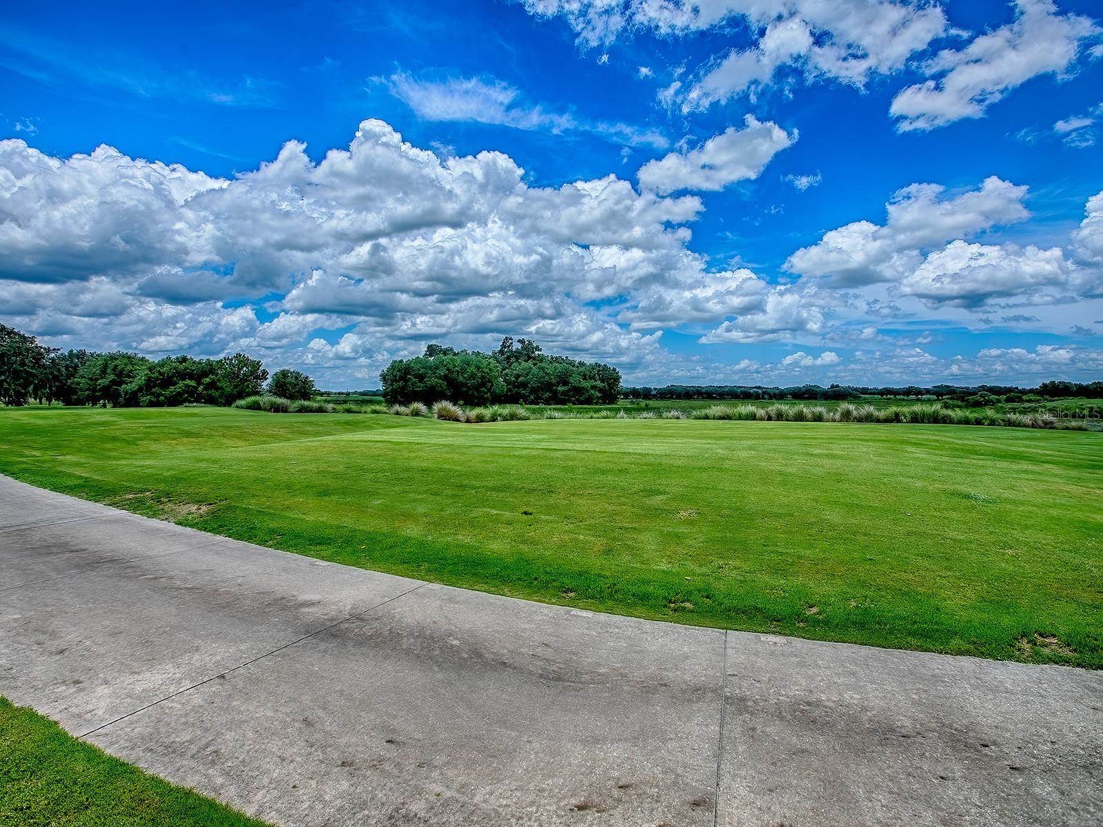 1417 Blease Loop, The Villages, FL 32162