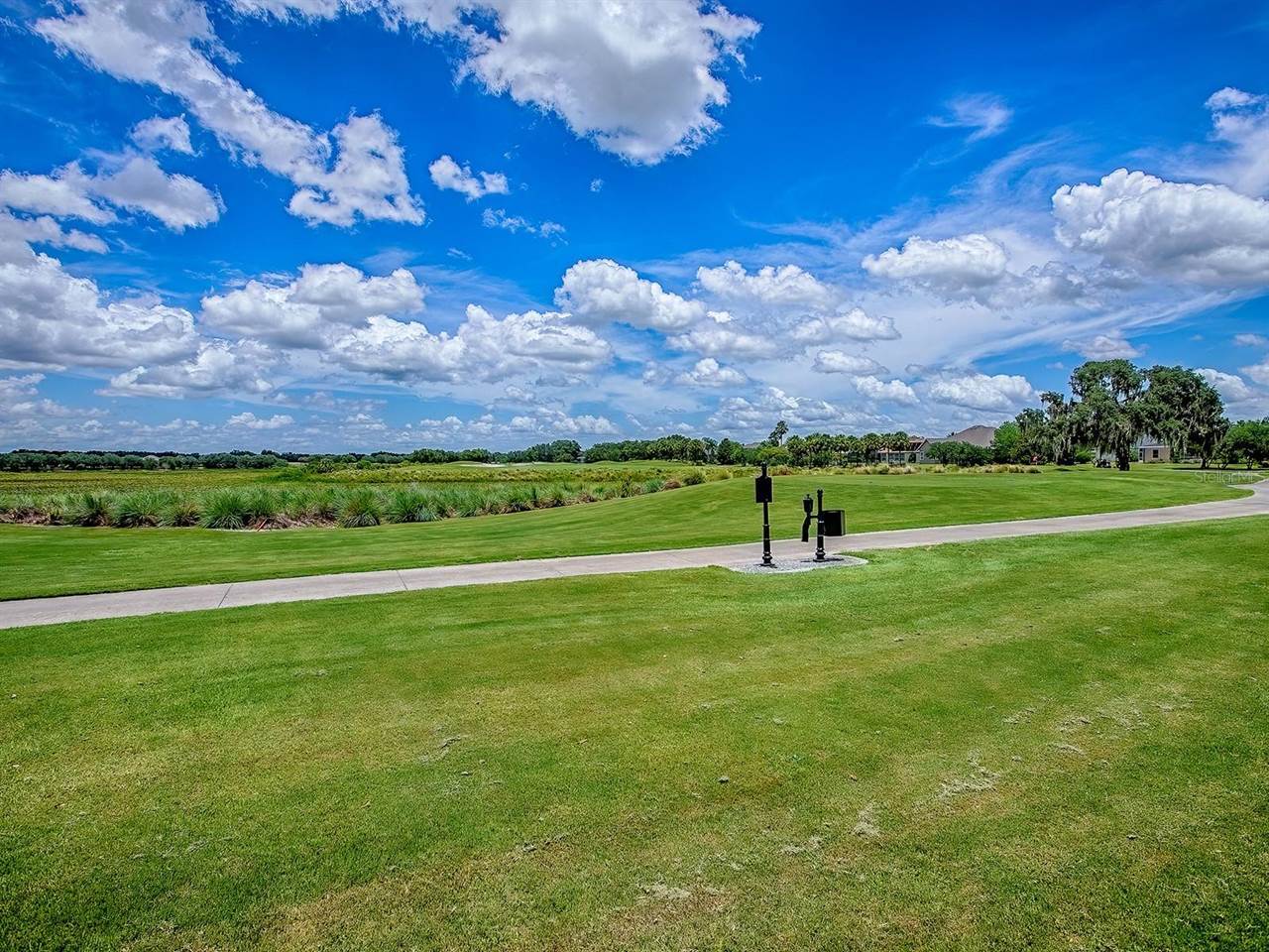 1417 Blease Loop, The Villages, FL 32162