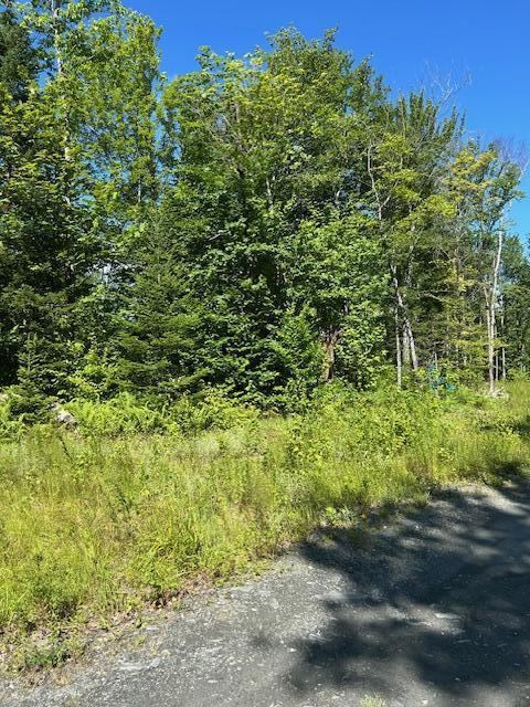Lot 8 Winter Hill Lane, Monson, ME 04464
