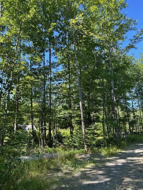Lot 8 Winter Hill Lane, Monson, ME 04464