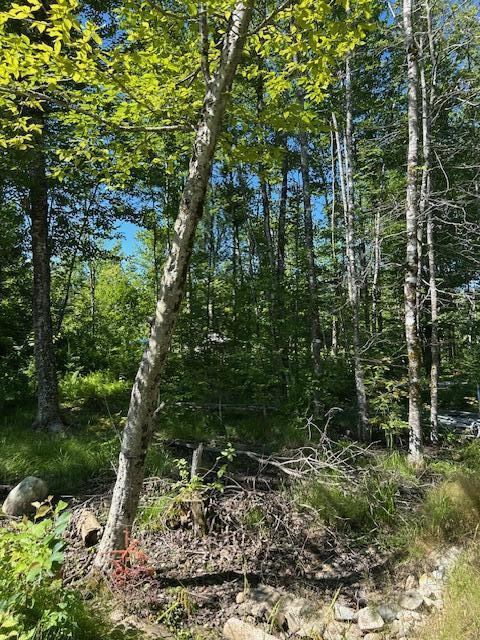 Lot 8 Winter Hill Lane, Monson, ME 04464