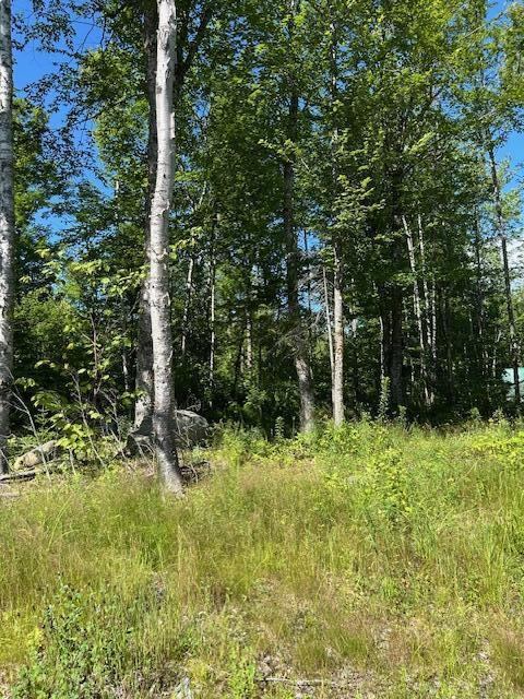 Lot 8 Winter Hill Lane, Monson, ME 04464