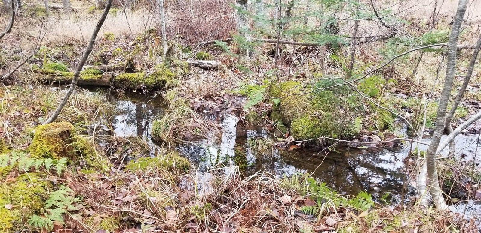 Lot 8 Winter Hill Lane, Monson, ME 04464