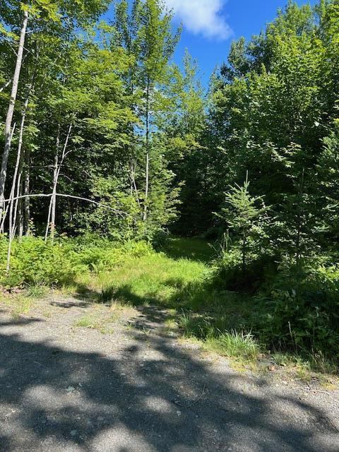 Lot 8 Winter Hill Lane, Monson, ME 04464